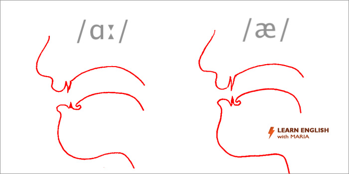 English pronunciation course - tongue composition