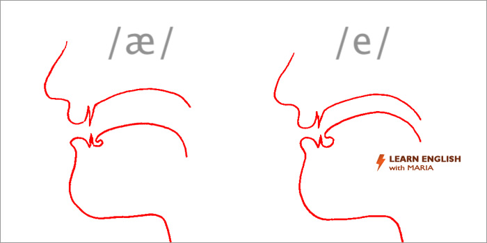 English pronunciation course - tongue composition