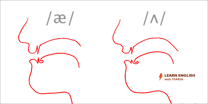 English pronunciation course - tongue composition